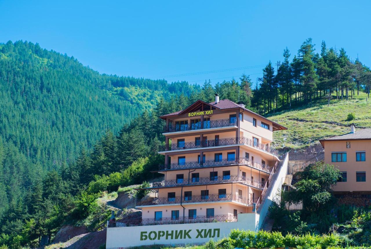 Борник Хил / Bornik Hill Devin Eksteriør bilde